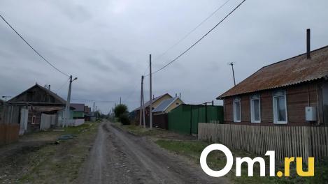 Хотела отомстить: омичка проведёт девять лет в тюрьме за убийство односельчанина