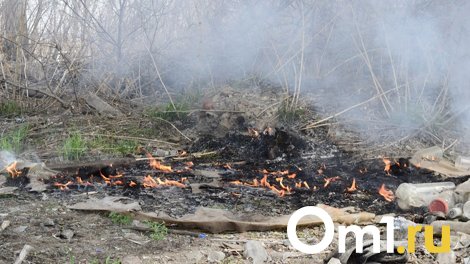 Из-за пожара в Колосовском районе без крыши над головой осталась многодетная семья