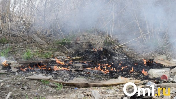 Из-за пожара в Колосовском районе без крыши над головой осталась многодетная семья
