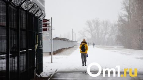 Тепло пробилось до Сибири: синоптики рассказали, что ждёт омичей в марте