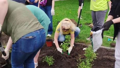 Новосибирцы посадили аллею белых цветов и яблоню «Розовый вечер» в честь Шатунова