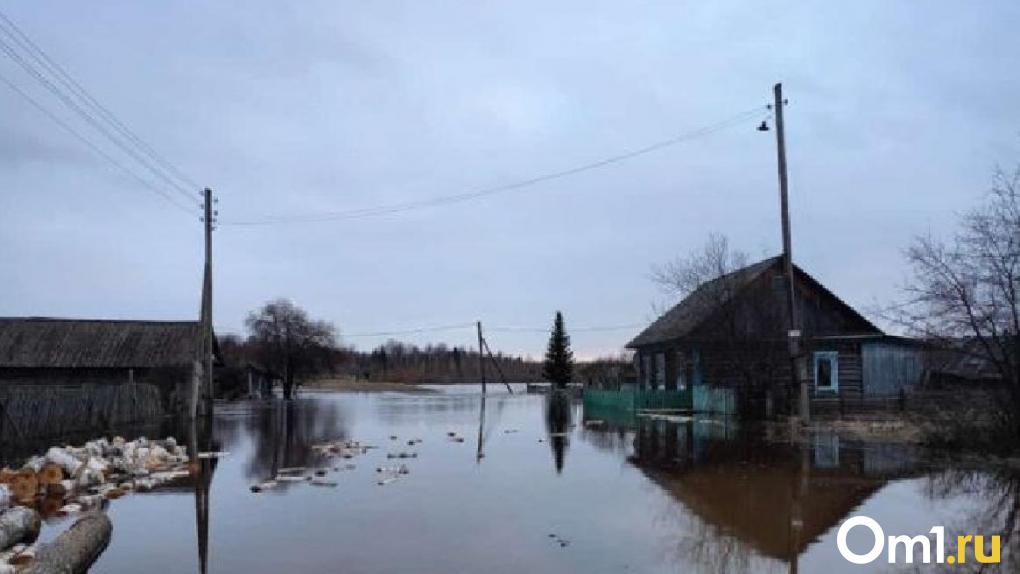 Река затопила село на севере Омской области