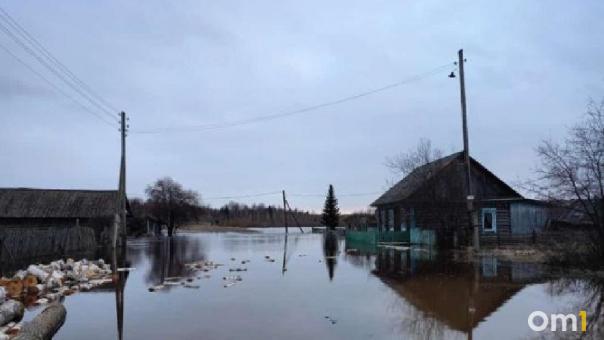 Река затопила село на севере Омской области