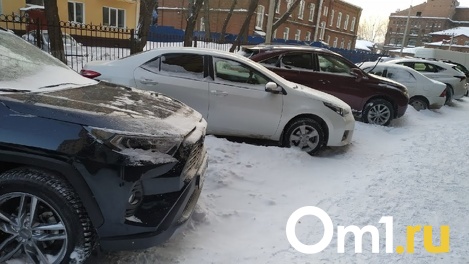 Годовалая девочка застряла в заблокированной машине в Новосибирске