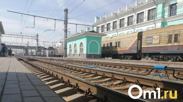 В Омске двоих студентов поймали на краже металлолома с железнодорожного предприятия
