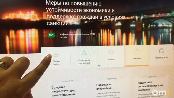 Новый ресурс о мерах поддержки в условиях санкций презентовали в Новосибирской области
