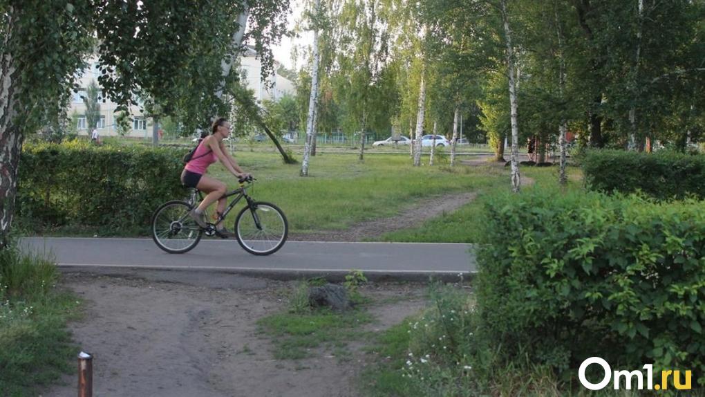 Выкопал сосед. Омичка на велосипеде упала в яму и порвала лицо