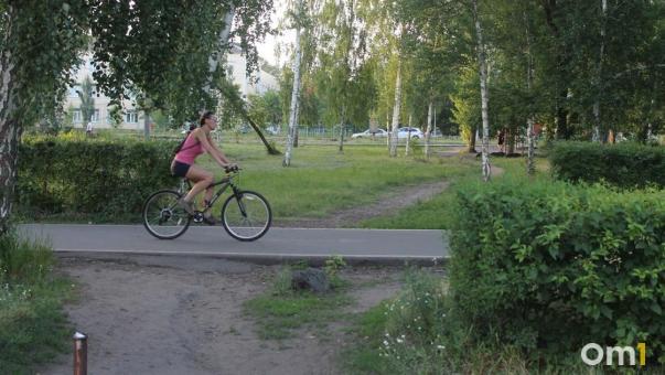Выкопал сосед. Омичка на велосипеде упала в яму и порвала лицо
