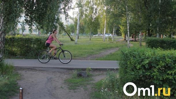 Выкопал сосед. Омичка на велосипеде упала в яму и порвала лицо