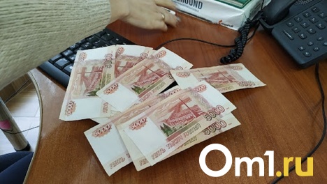 За месяц долги по зарплате в Омской области выросли почти вдвое