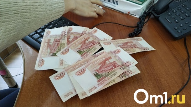 За месяц долги по зарплате в Омской области выросли почти вдвое