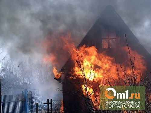 В Омске на выходные в садовом домике обгорел дачник