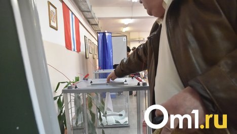 Общественная палата оценила ход выборов в Новосибирской области