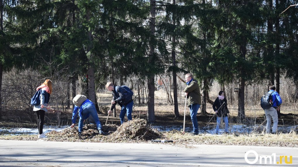 Новосибирцев приглашают на районные субботники: список территорий