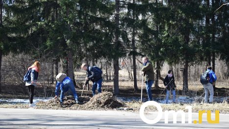 Новосибирцев приглашают на районные субботники: список территорий