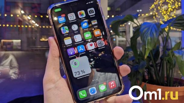 У омского министра образования появился фейк