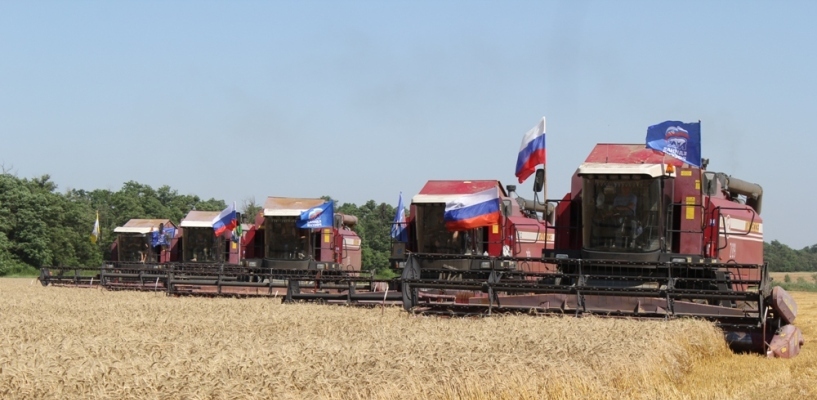 В Омской области убрали почти половину зерна
