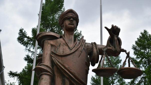 Он буквально обуглился: под Новосибирском осудят руководителя сбора шишек, из-за которого погиб рабочий
