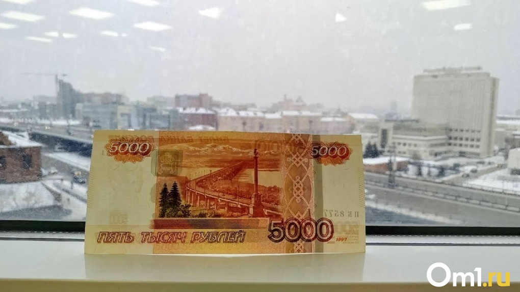На жизнь омичу хватит 16 373 рубля – Омскстат