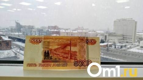 На жизнь омичу хватит 16 373 рубля – Омскстат