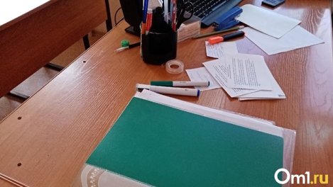 Кадровый дефицит: в школах и детских садах Омска не хватает больше 800 педагогов