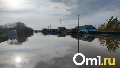 Эвакуировали 450 жителей: уровень воды в реках Омской области продолжает расти