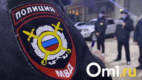 Полиция проверит бар «Руки Вверх» в Новосибирске после пьяной потасовки посетителей и охраны. ВИДЕО