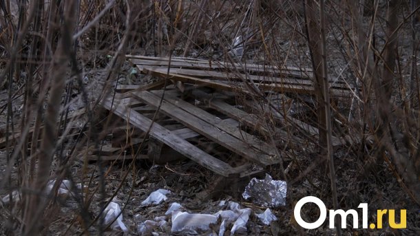 С омской улицы Доковская коммунальщики вывезли более 200 тонн мусора