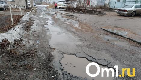 «Мы живём в хлеву, у свиней и то чище»: омичка возмутилась территорией у дома