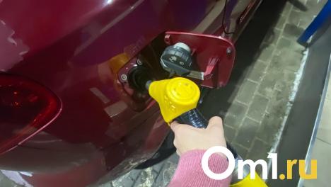 Стало известно, где в Омске появятся 20 новых газовых заправок