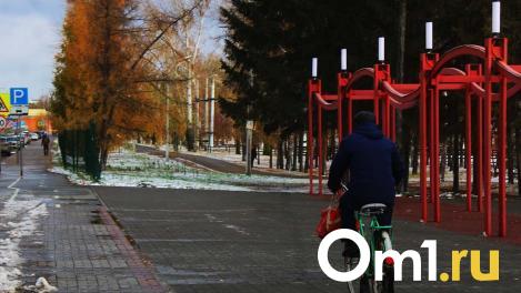 В Омской области обнаружили клещей с болезнью Лайма