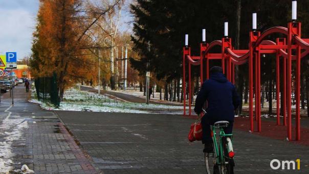 В Омской области обнаружили клещей с болезнью Лайма