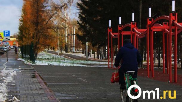 В Омской области обнаружили клещей с болезнью Лайма