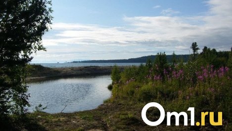 Это природный процесс: омичам рассказали, почему в реках и озерах области появились опасные элементы