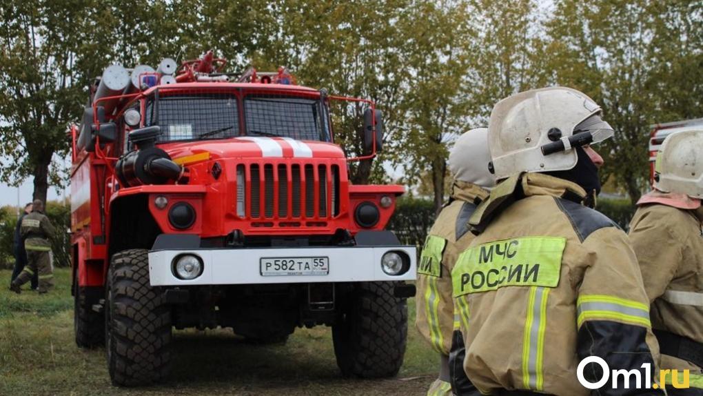 Омские пожарные за два месяца 403 раза выезжали на ложные вызовы