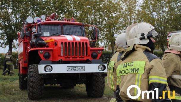 Омские пожарные за два месяца 403 раза выезжали на ложные вызовы