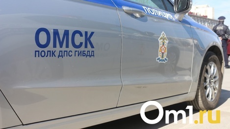 В Омской области разыскивают мужчину, который насмерть задавил молодую пару