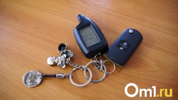 В Омской области сразу два местных жителя угнали машины