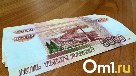 Убирайте мусор, но не сжигайте его! За что могут штрафовать омских дачников?