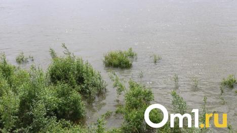 Обследование омской реки Замарайки обойдётся в пять миллионов рублей