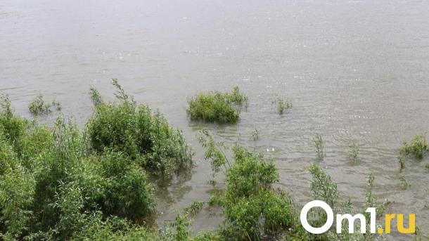 Обследование омской реки Замарайки обойдётся в пять миллионов рублей