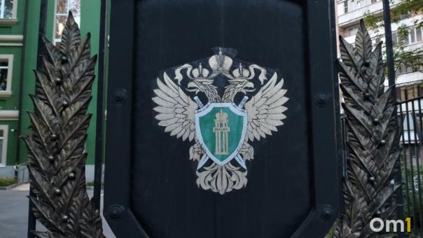 Прокуратура Новосибирска требует закрыть пансионат «Рэмели»
