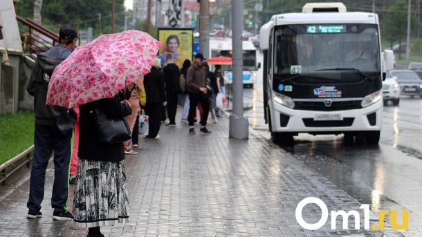 Осадки вернутся: синоптики прогнозируют дождливое начало лета в Омской области