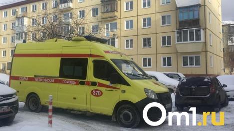 Неизвестный омич сбил восьмилетнюю девочку и сбежал