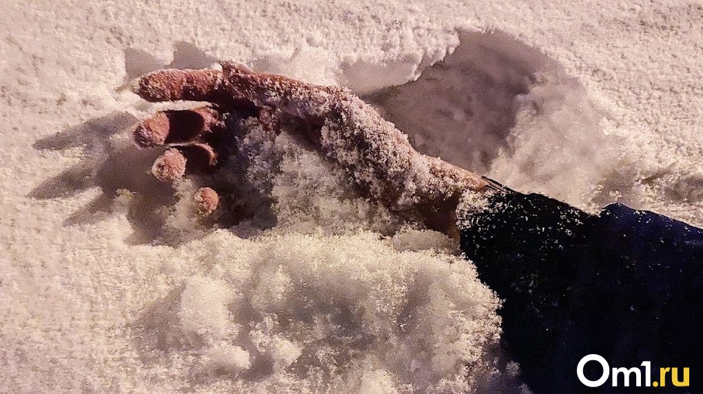В период 20-градусных морозов в Омске мужчина обморозил себе руки