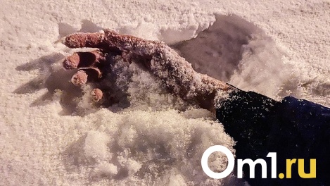 В период 20-градусных морозов в Омске мужчина обморозил себе руки