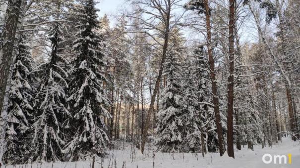 Морозы до -33 градусов вернутся в Новосибирскую область в феврале