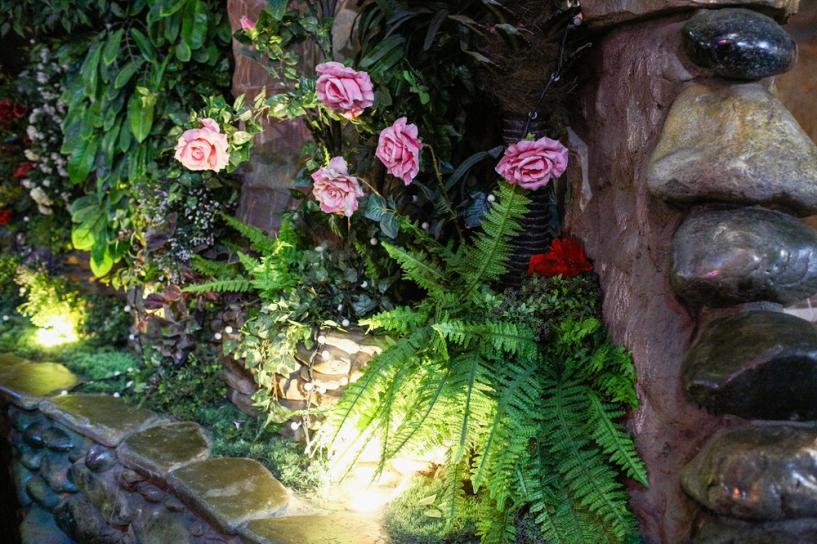 Изображение фоторепортажа