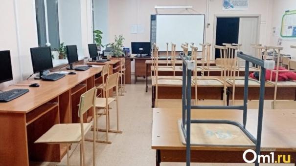 Детский омбудсмен Болтенко привлечёт силовиков для урегулирования забастовки в гимназии Новосибирска