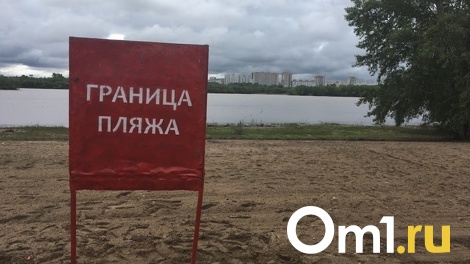 В мэрии объяснили появление песка с возбудителями глистных инфекций на омских пляжах